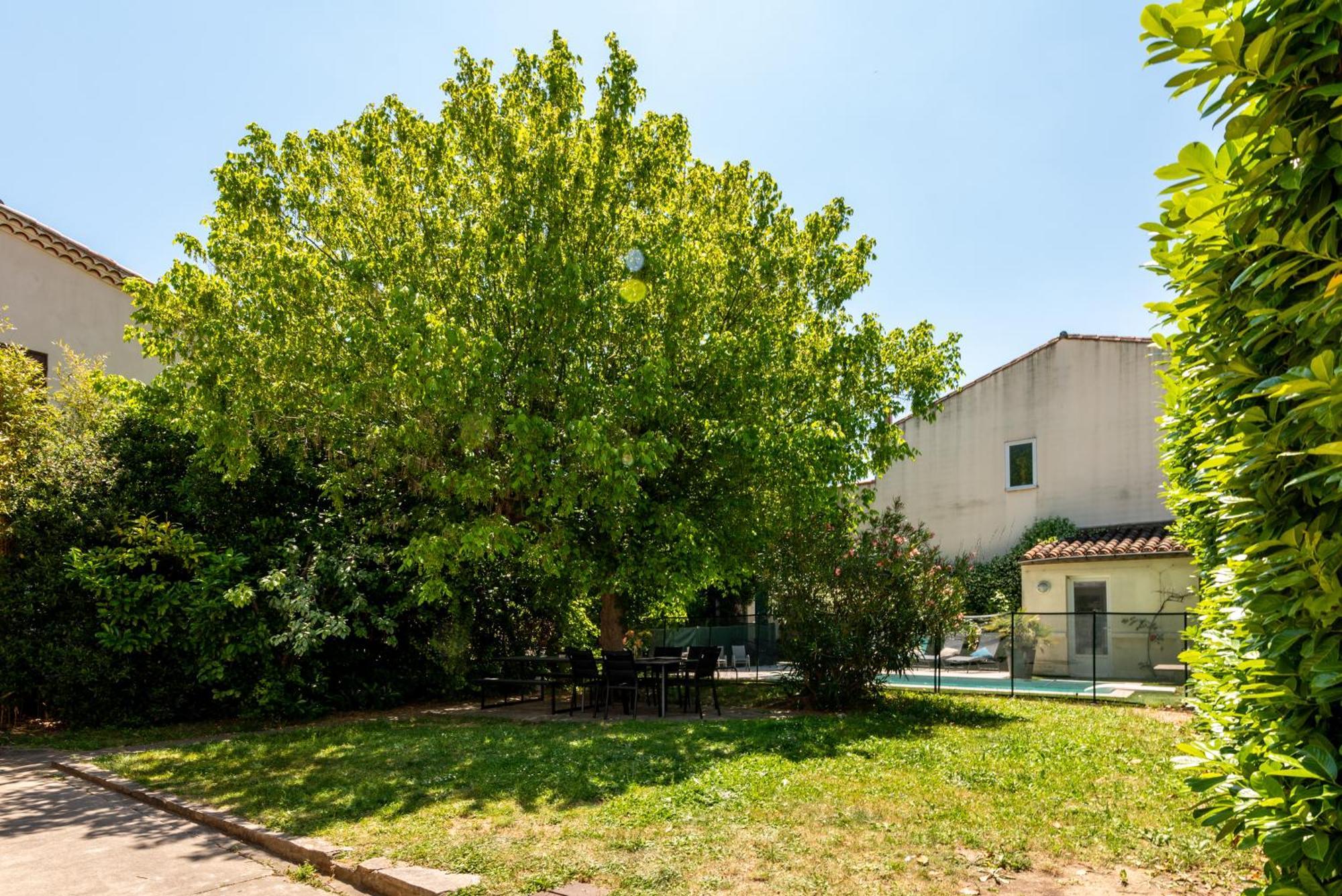 La Casa Grande - Piscine - Wifi - Parking Villa Carcassonne Eksteriør billede